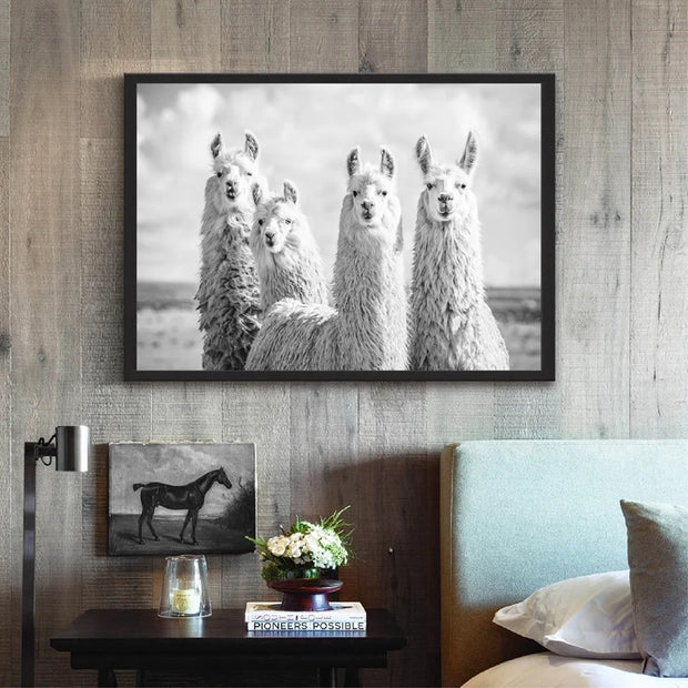 Llamas In The Wild Wall Art