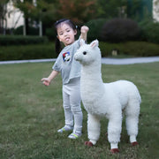 Cute Australian Llama Plush Doll